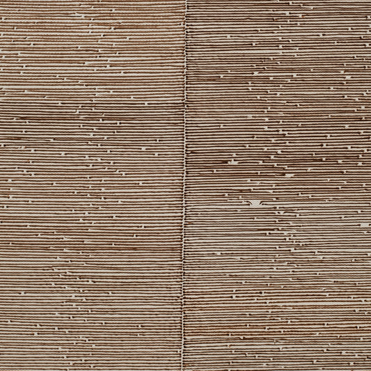 Banita Mistry, Feed 1