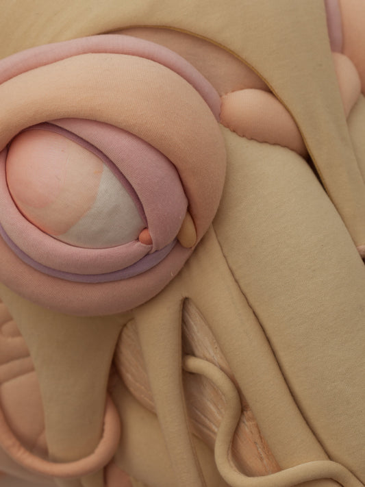 Daisy Collingridge, Unbridled