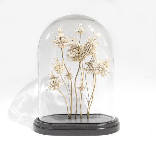 Emma Witter, Soft Fascination