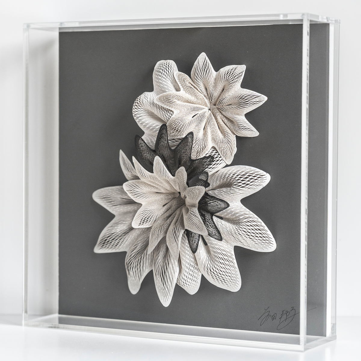 Kuniko Maeda, Unfold I