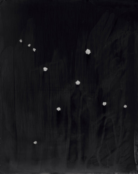 Kasia Wozniak, Cygnus (POS ONLY, NOT LIVE ON WEBSITE)