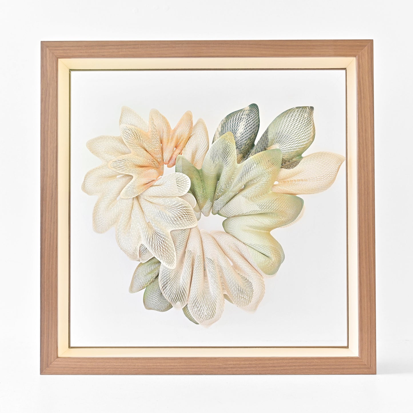 Kuniko Maeda, Frosted Camellia