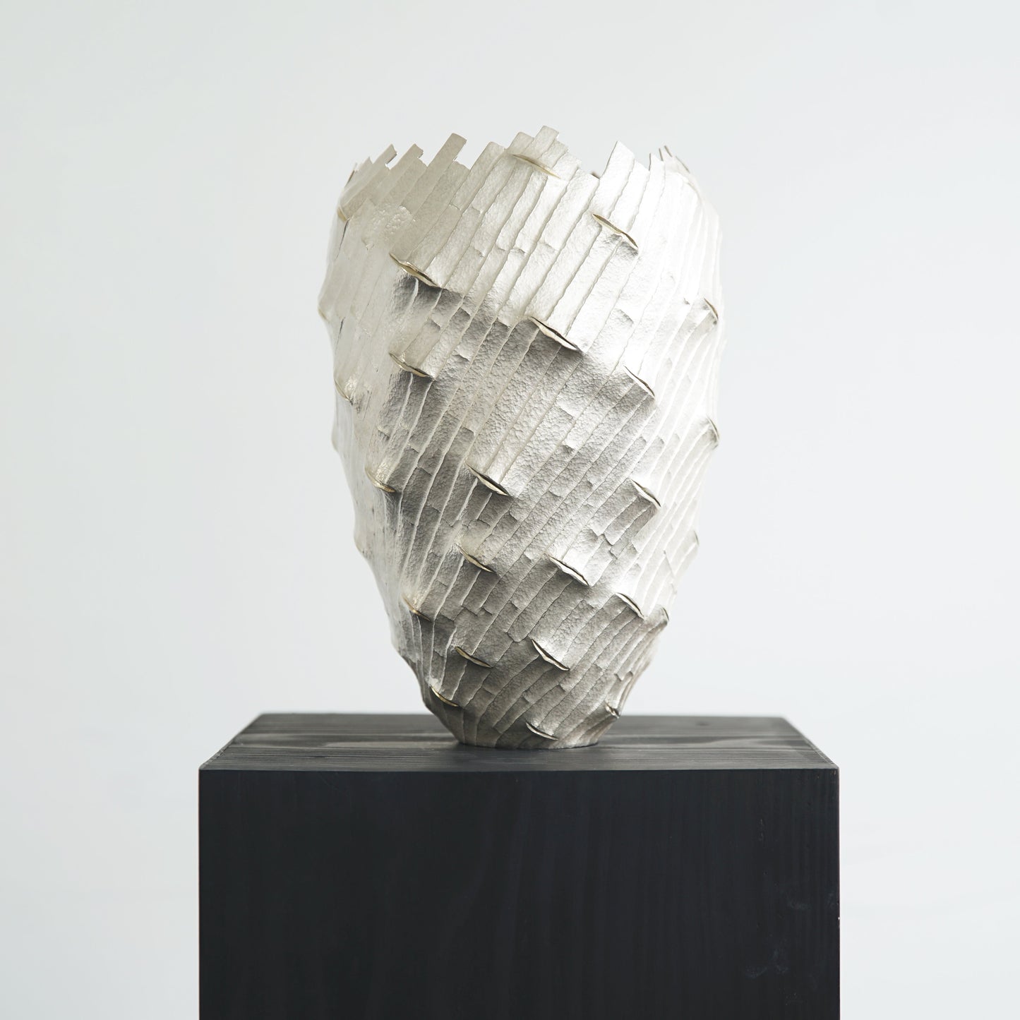 Shinta Nakajima, Tane Bambuksia