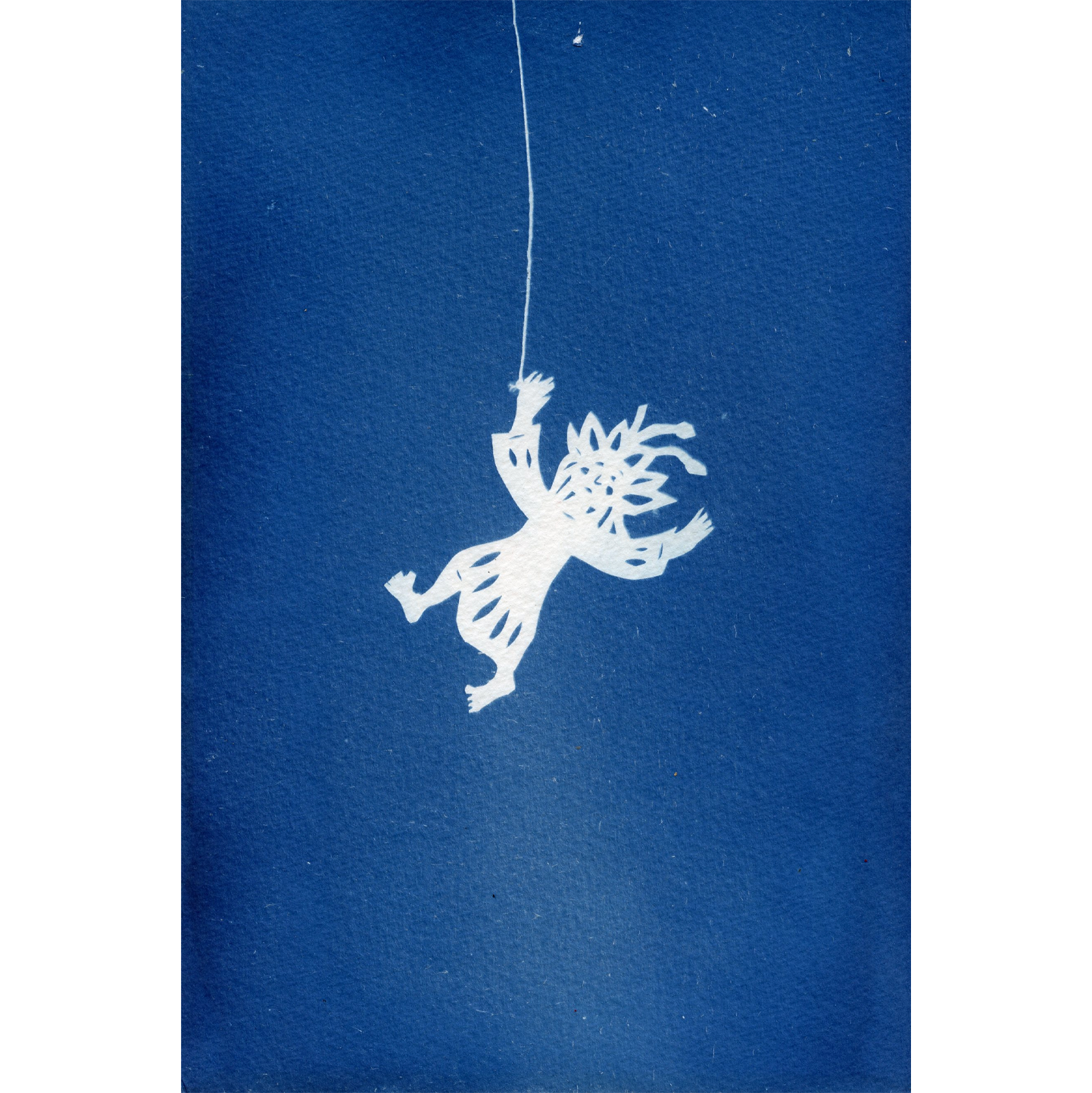Kirico Ueda, Cyanotype Series