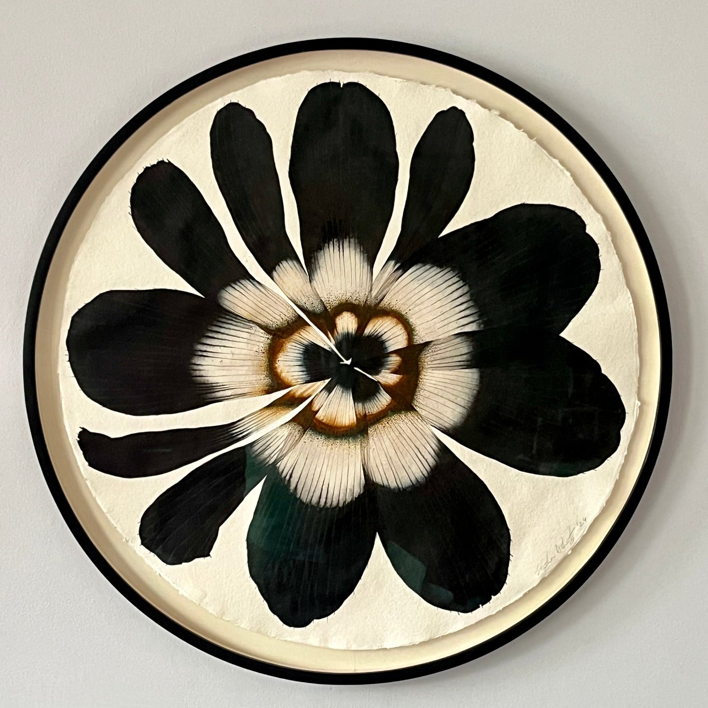 Stephen Doherty, Large Black Anemone