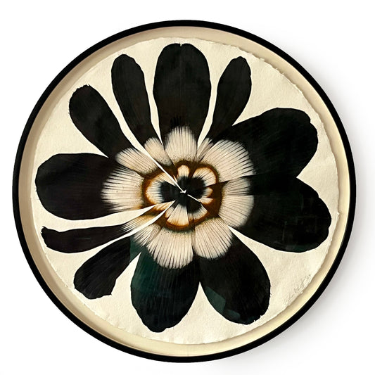 Stephen Doherty, Large Black Anemone