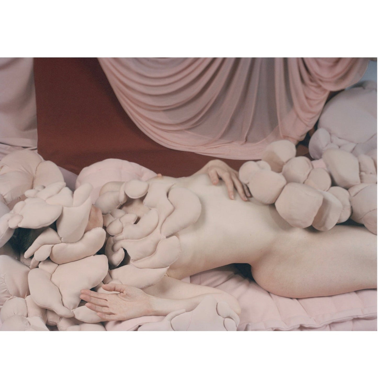 Paloma Tendero, Venus II