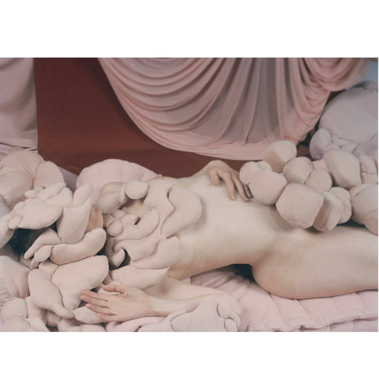Paloma Tendero, Venus II