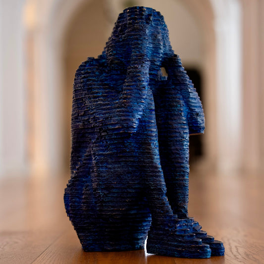 Izaak Brandt, Storm in the Mind
