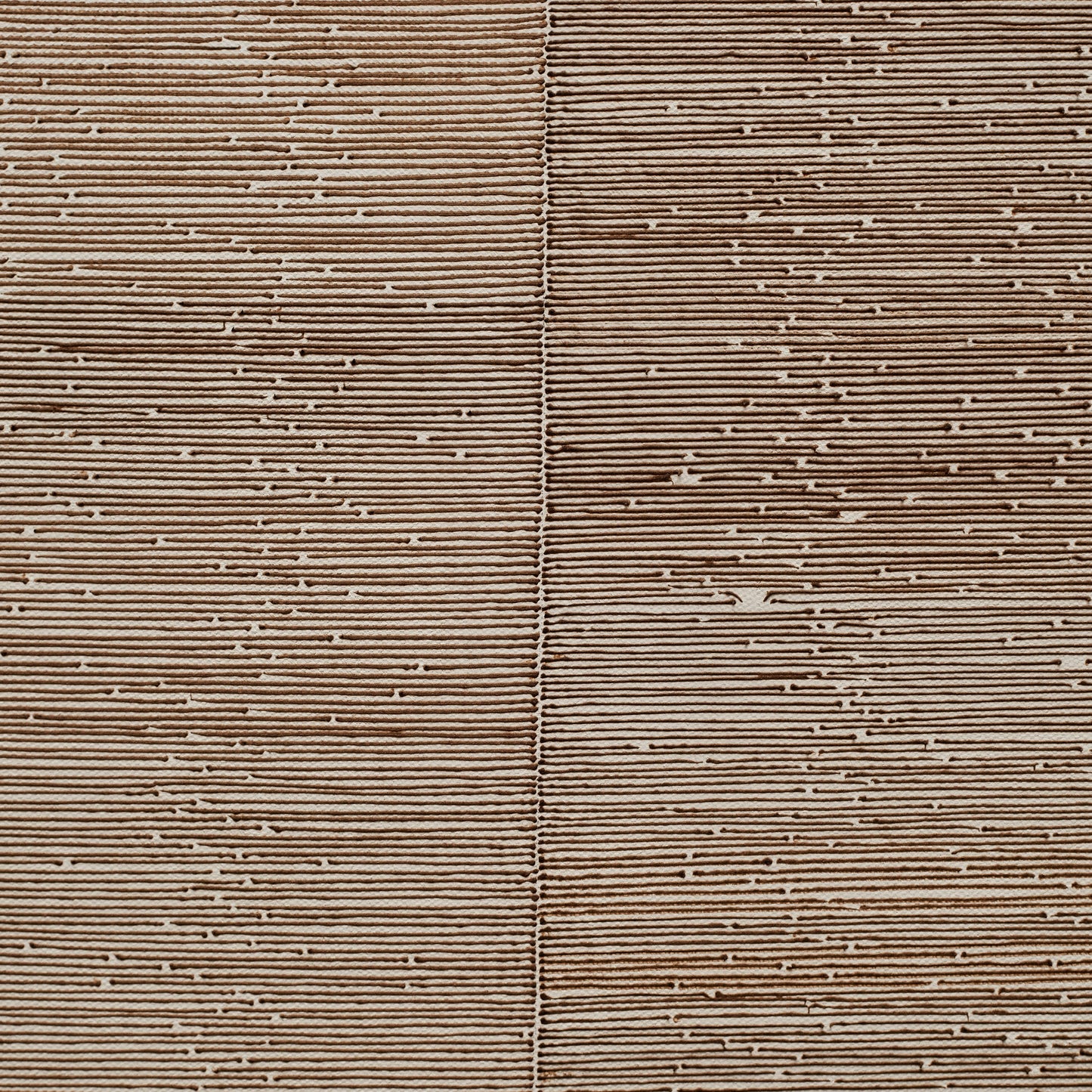 Banita Mistry, Feed 1