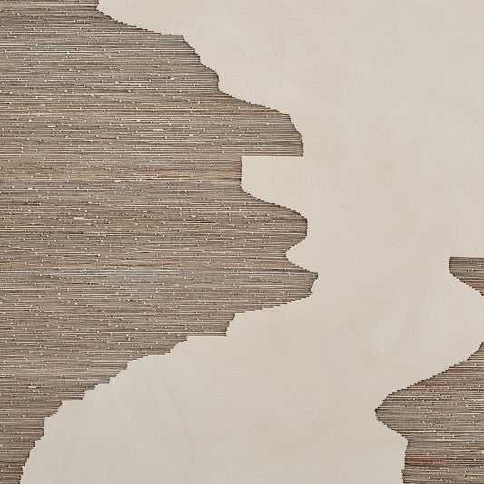 Banita Mistry, Feed 2