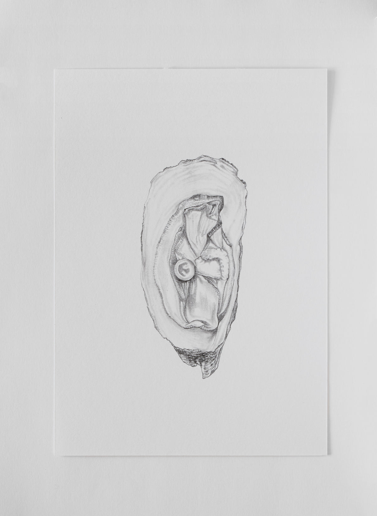 Bex Massey, Oyster