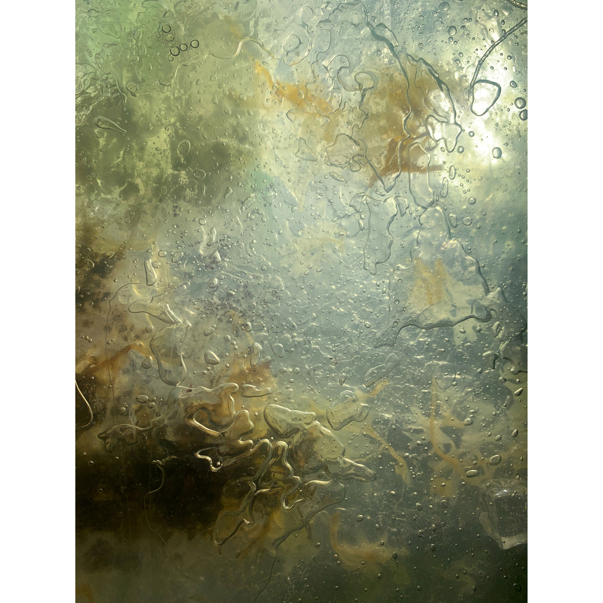Sophie Mei Birkin, We'll meet again as cells in the salt marsh (II)