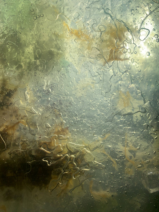 Sophie Mei Birkin, We'll meet again as cells in the salt marsh (II)