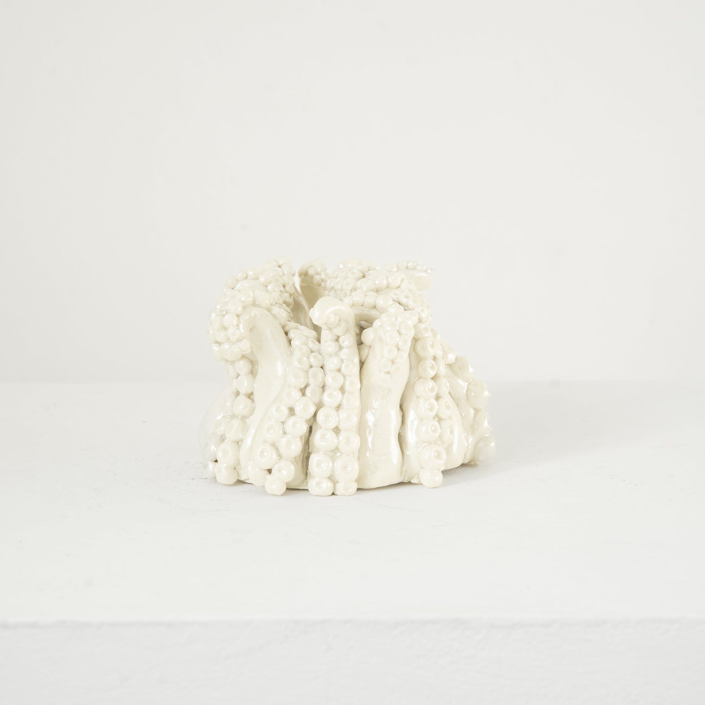 Camilla Hanney, Tentacle Pot