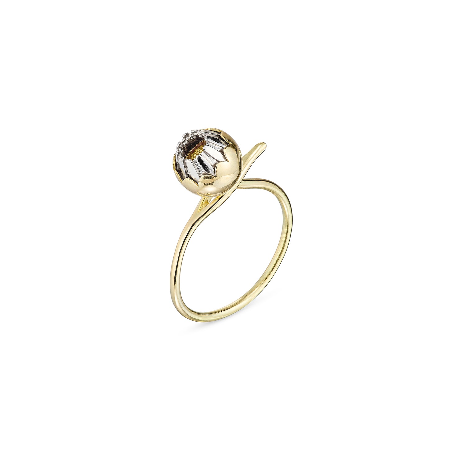 Christopher Thompson Royds, Daisy Chain Bud Ring
