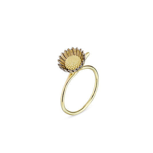 Christopher Thompson Royds, Daisy Chain Half Open Ring