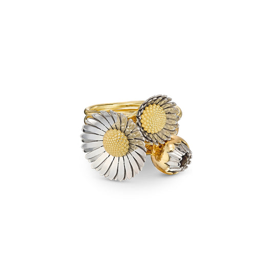 Christopher Thompson Royds, Daisy Chain Ring