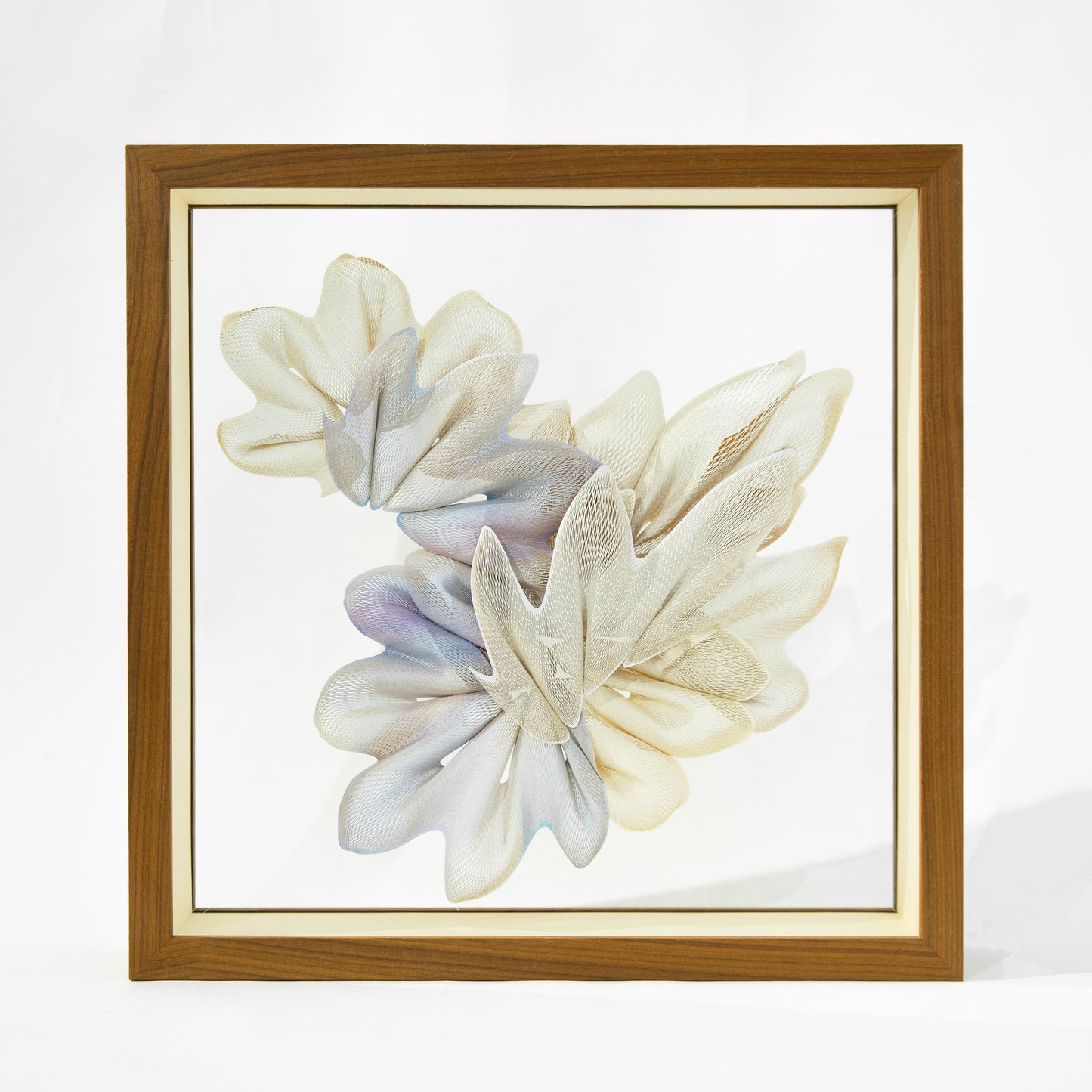 Kuniko Maeda, Summer Night Walk