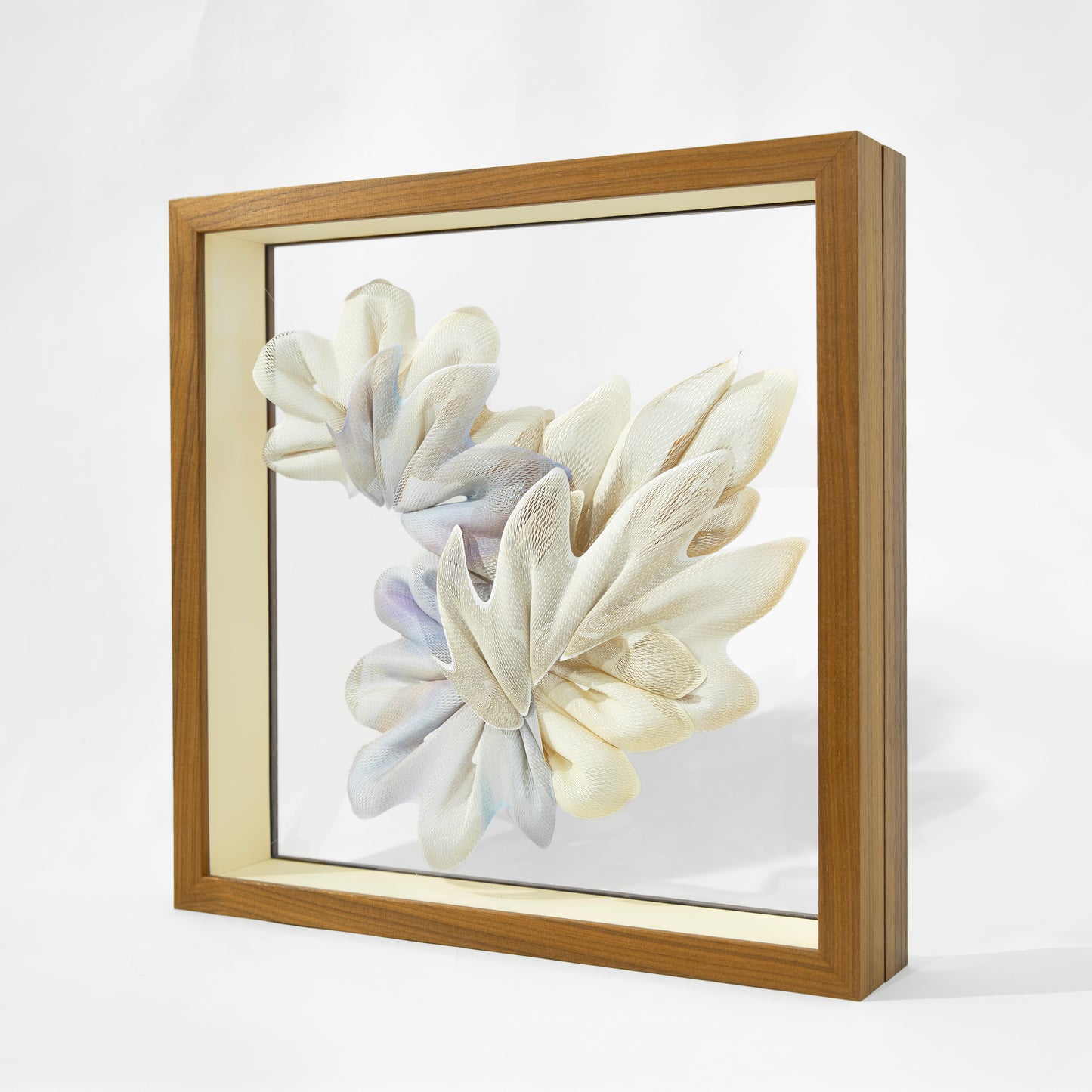 Kuniko Maeda, Summer Night Walk