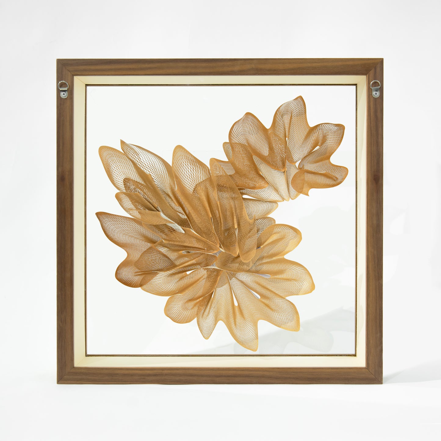 Kuniko Maeda, Summer Night Walk