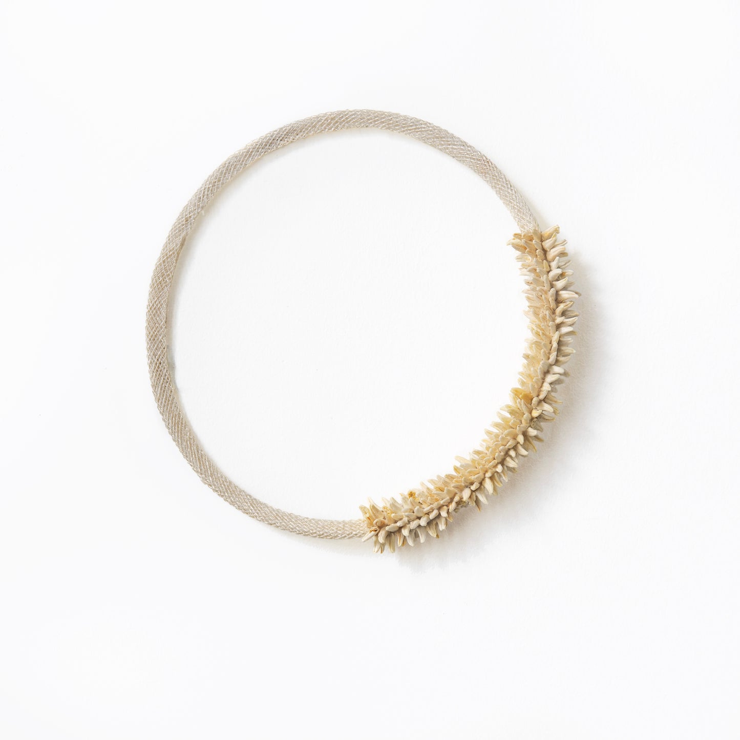 Emma Witter, Hoops