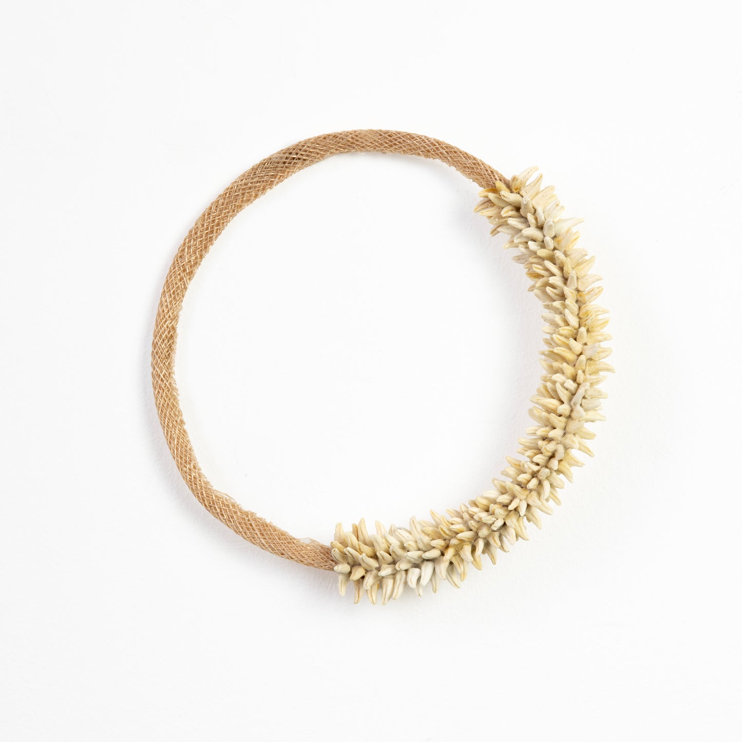 Emma Witter, Hoops