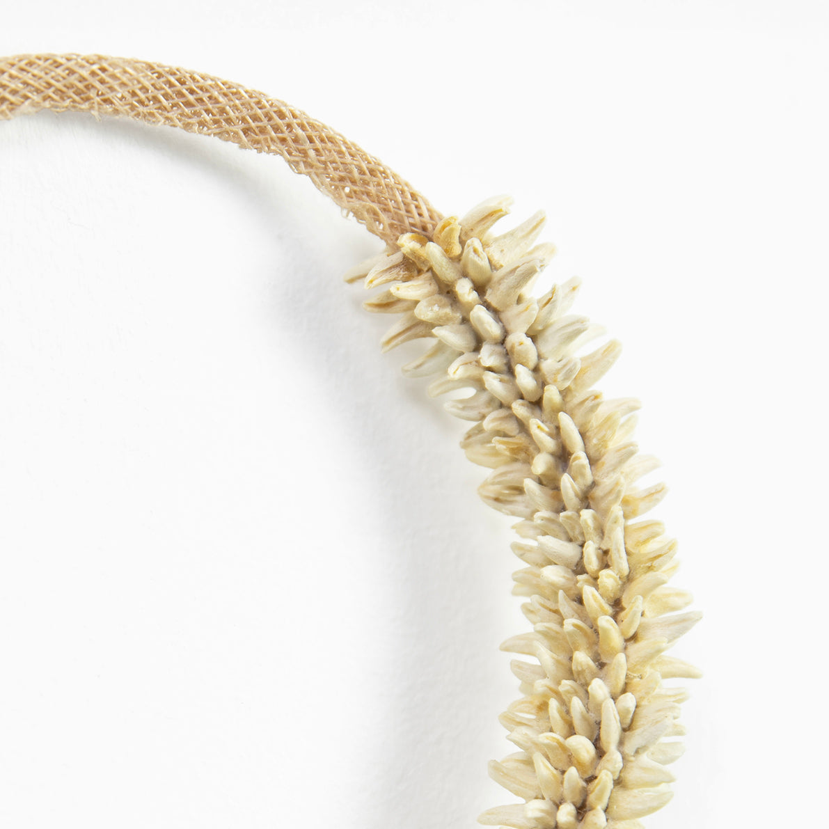 Emma Witter, Hoops