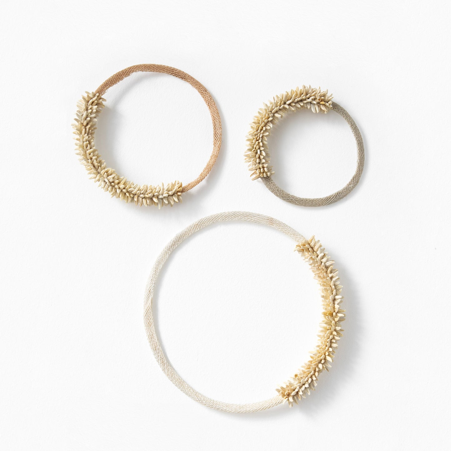 Emma Witter, Hoops