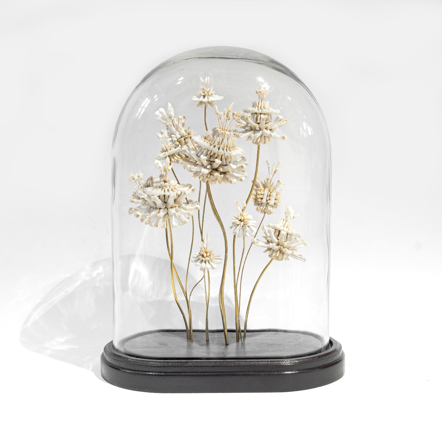 Emma Witter, Soft Fascination