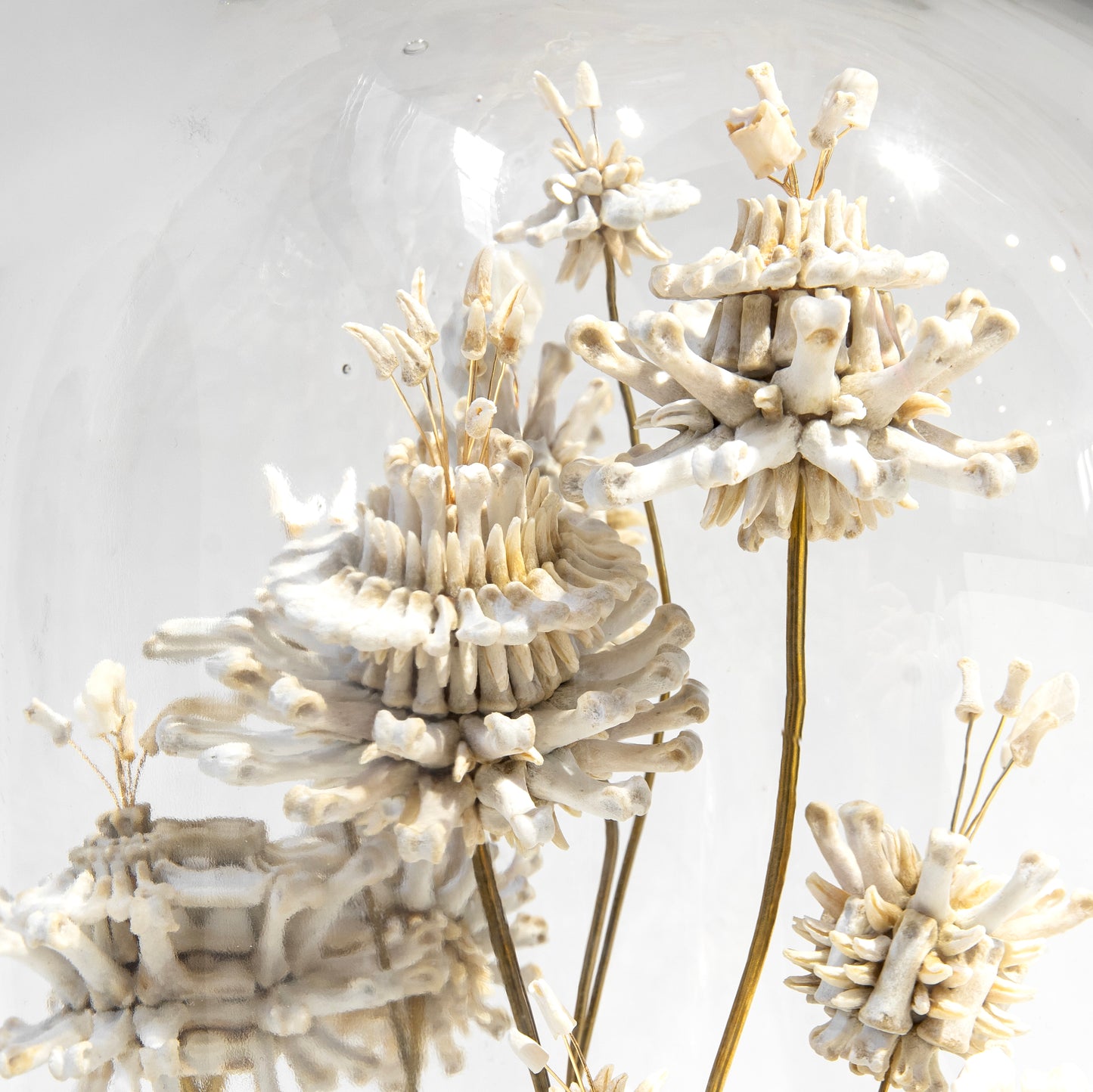 Emma Witter, Soft Fascination