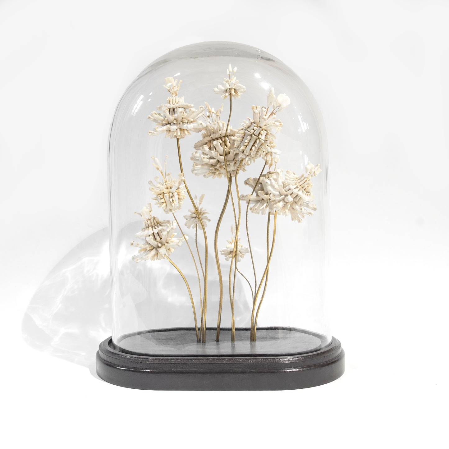 Emma Witter, Soft Fascination