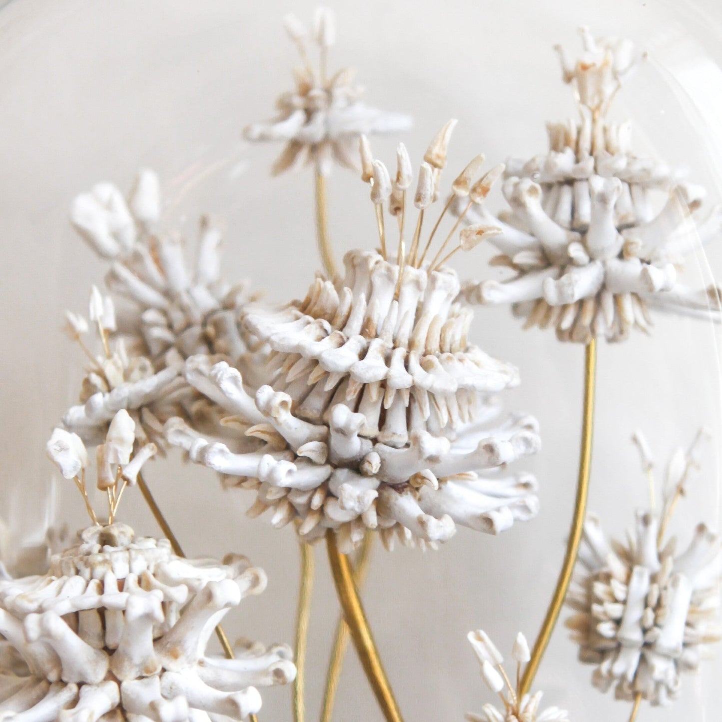 Emma Witter, Soft Fascination