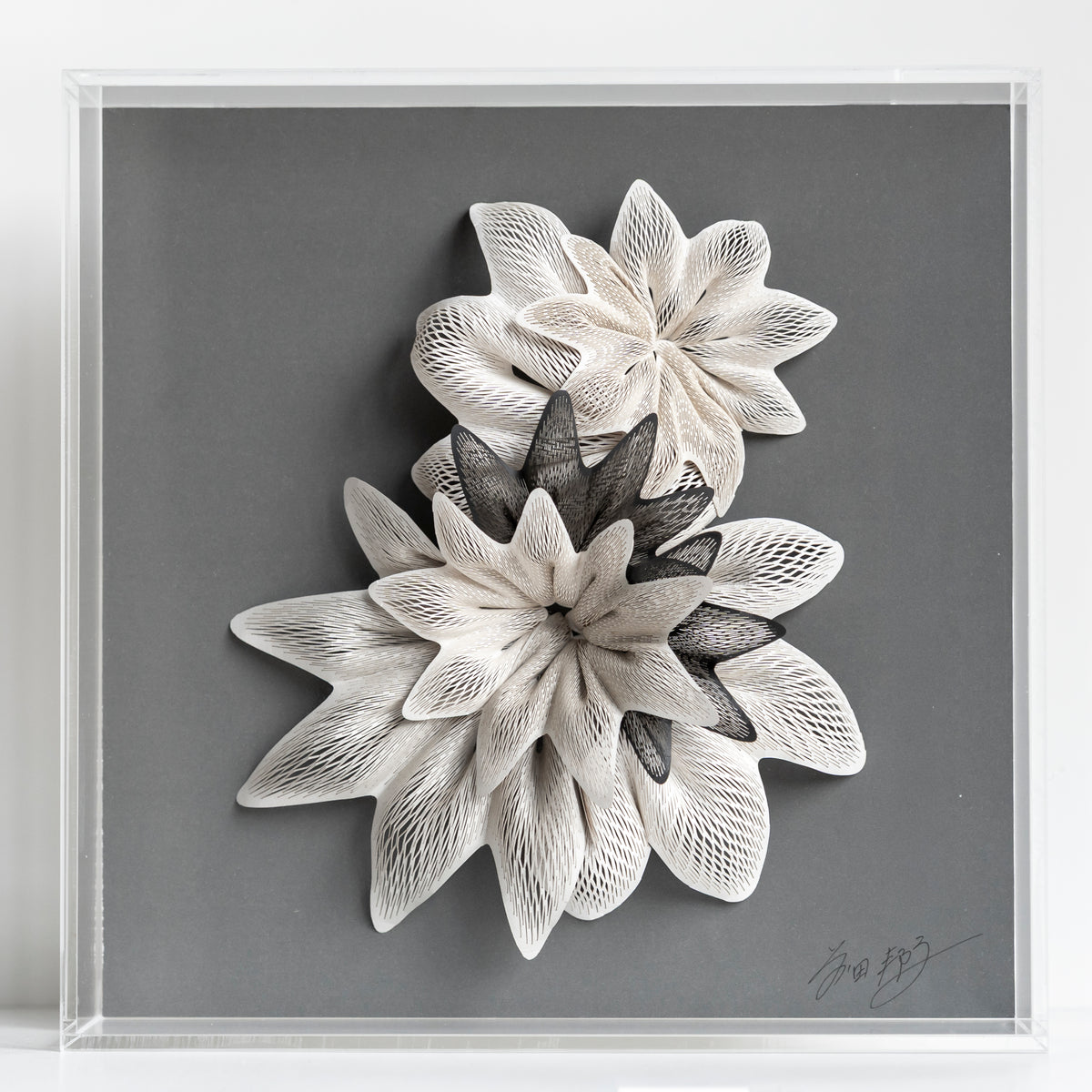 Kuniko Maeda, Unfold I