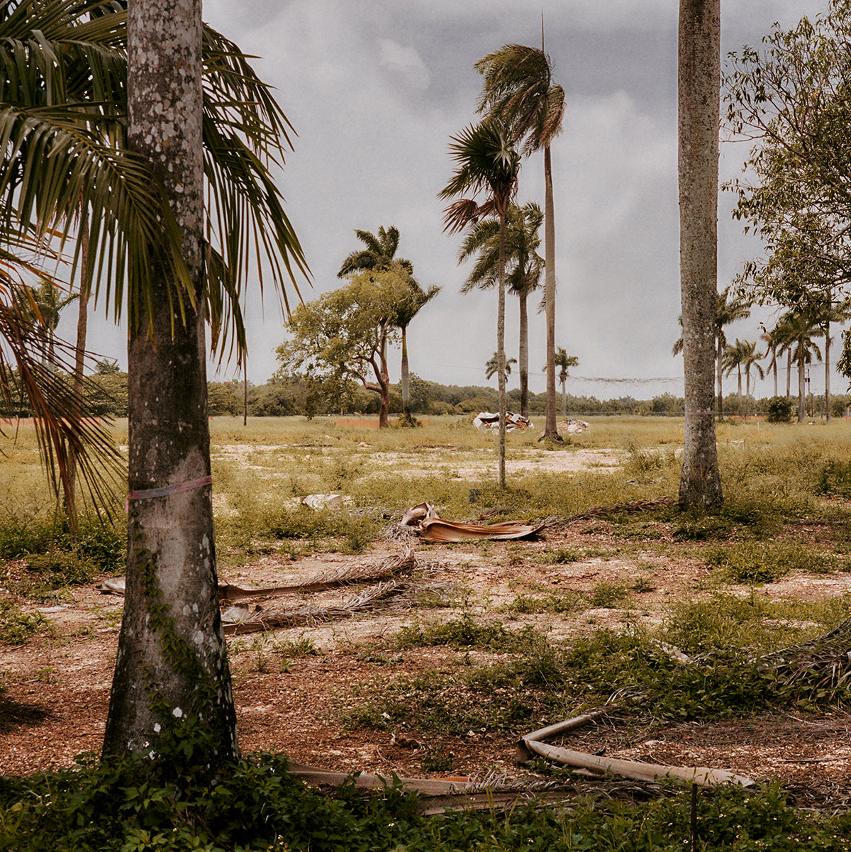 John Spyrou, Fractured State - Florida