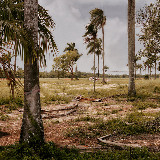 John Spyrou, Fractured State - Florida