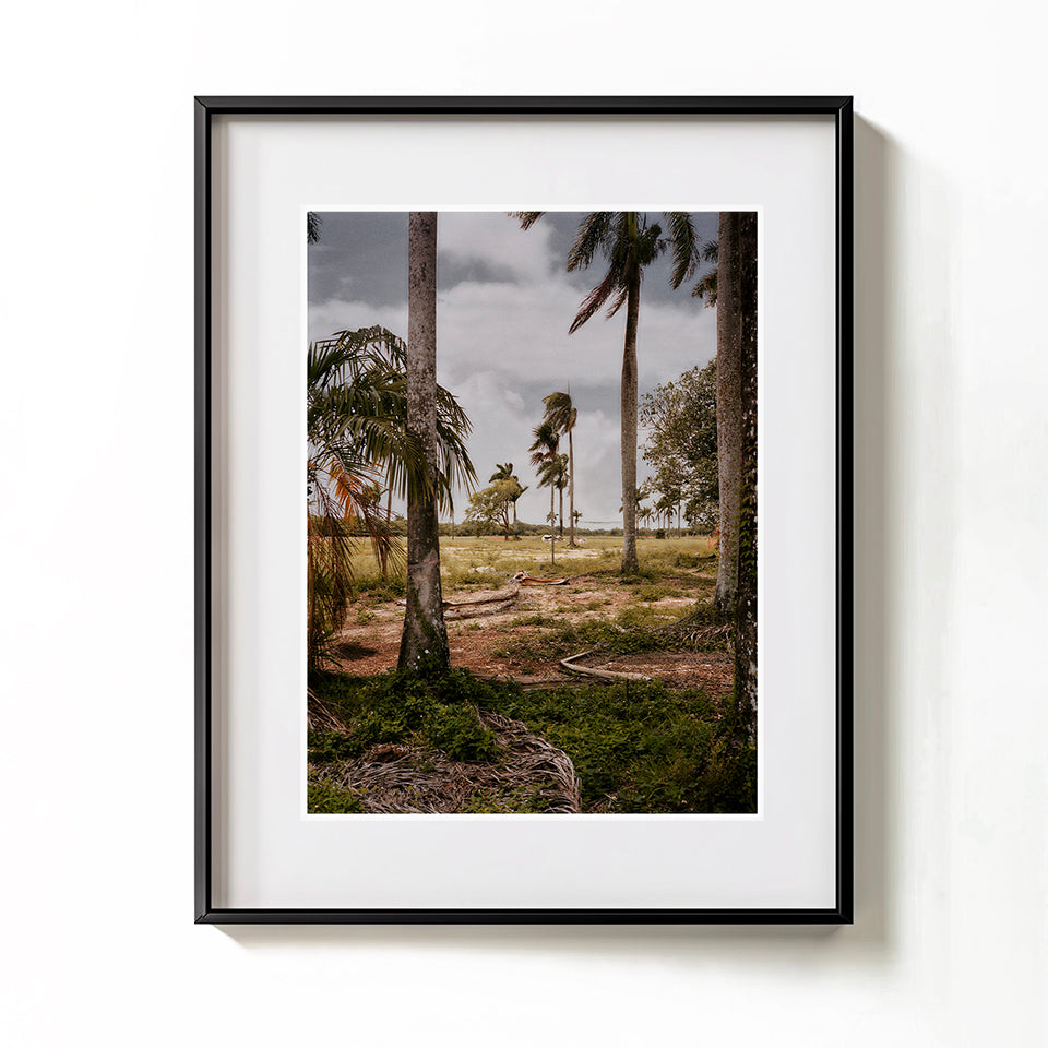 John Spyrou, Fractured State - Florida