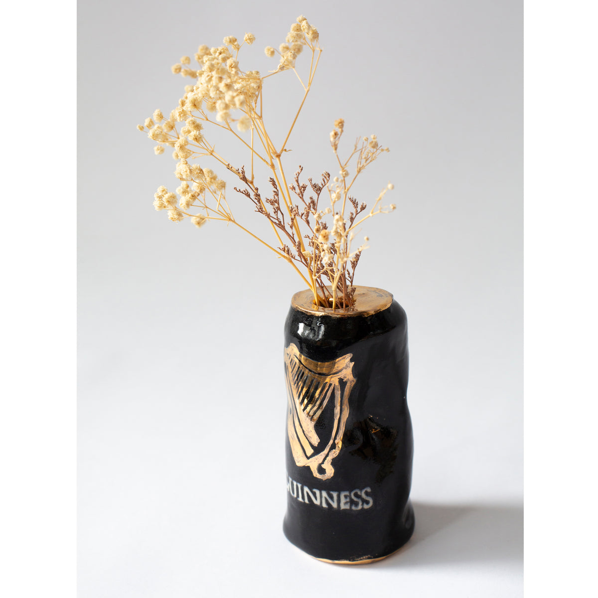 Camilla Hanney, Guinness Can