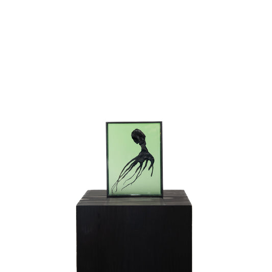 Harriet Horton, Green Micro Octopus