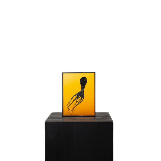 Harriet Horton, Orange Micro Octopus