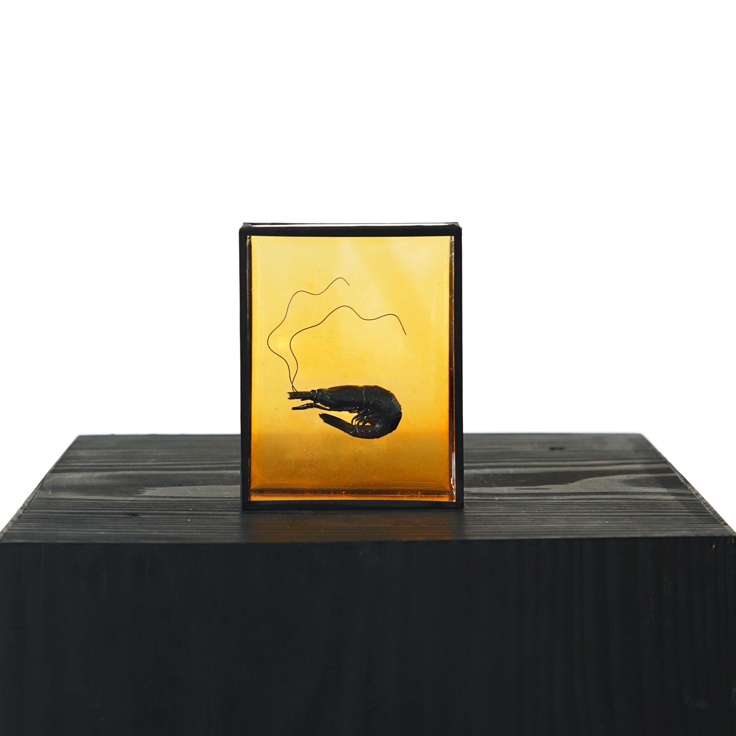 Harriet Horton, Orange Micro Prawn