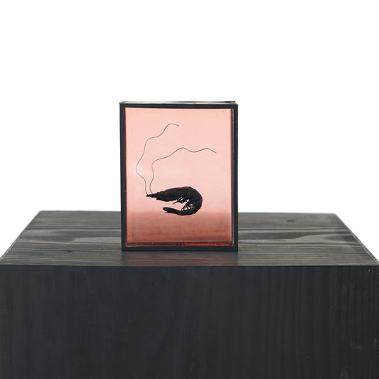 Harriet Horton, Pink Micro Prawn