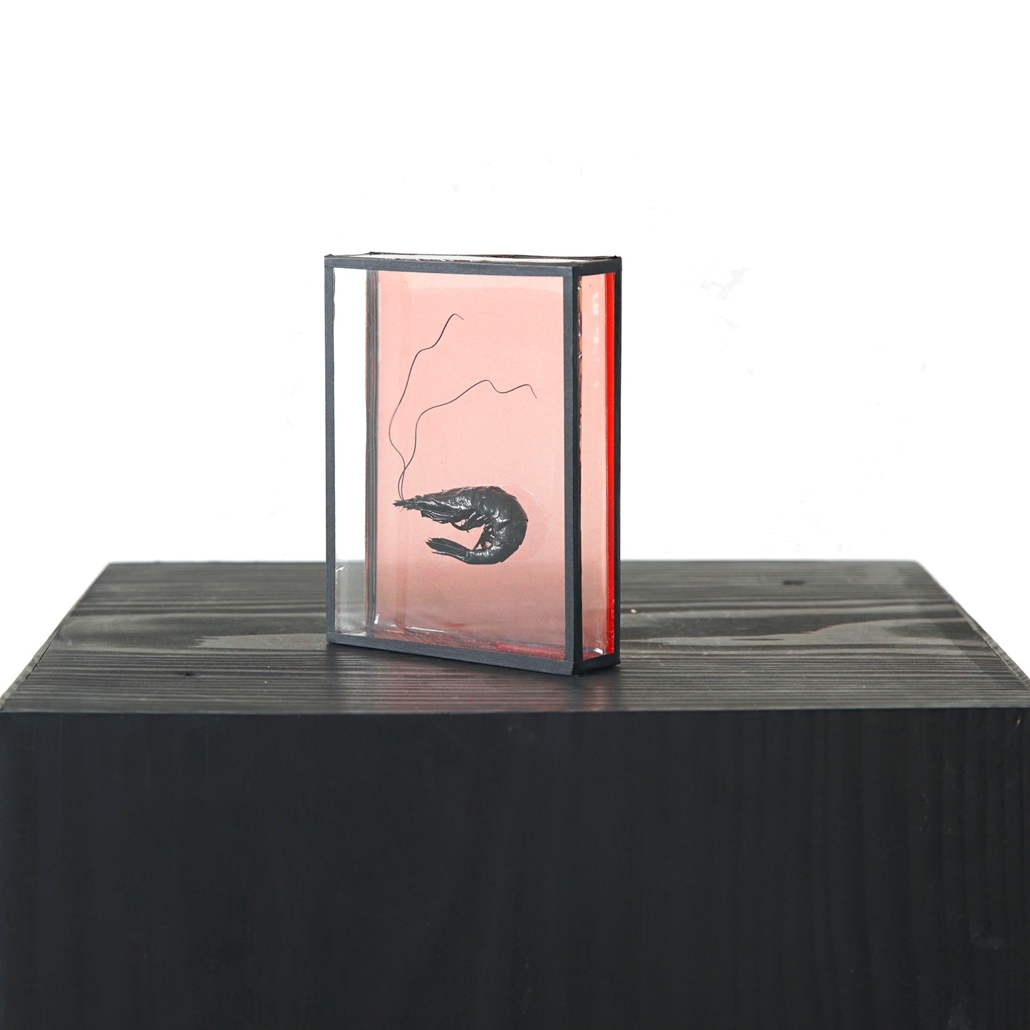 Harriet Horton, Pink Micro Prawn