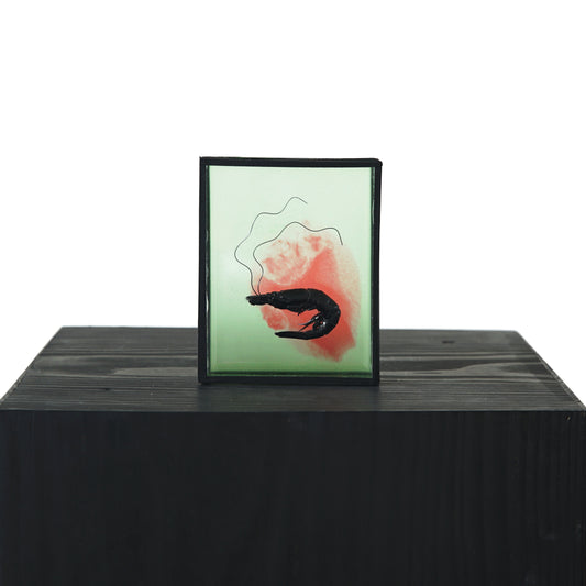 Harriet Horton, Pink and Green Micro Prawn