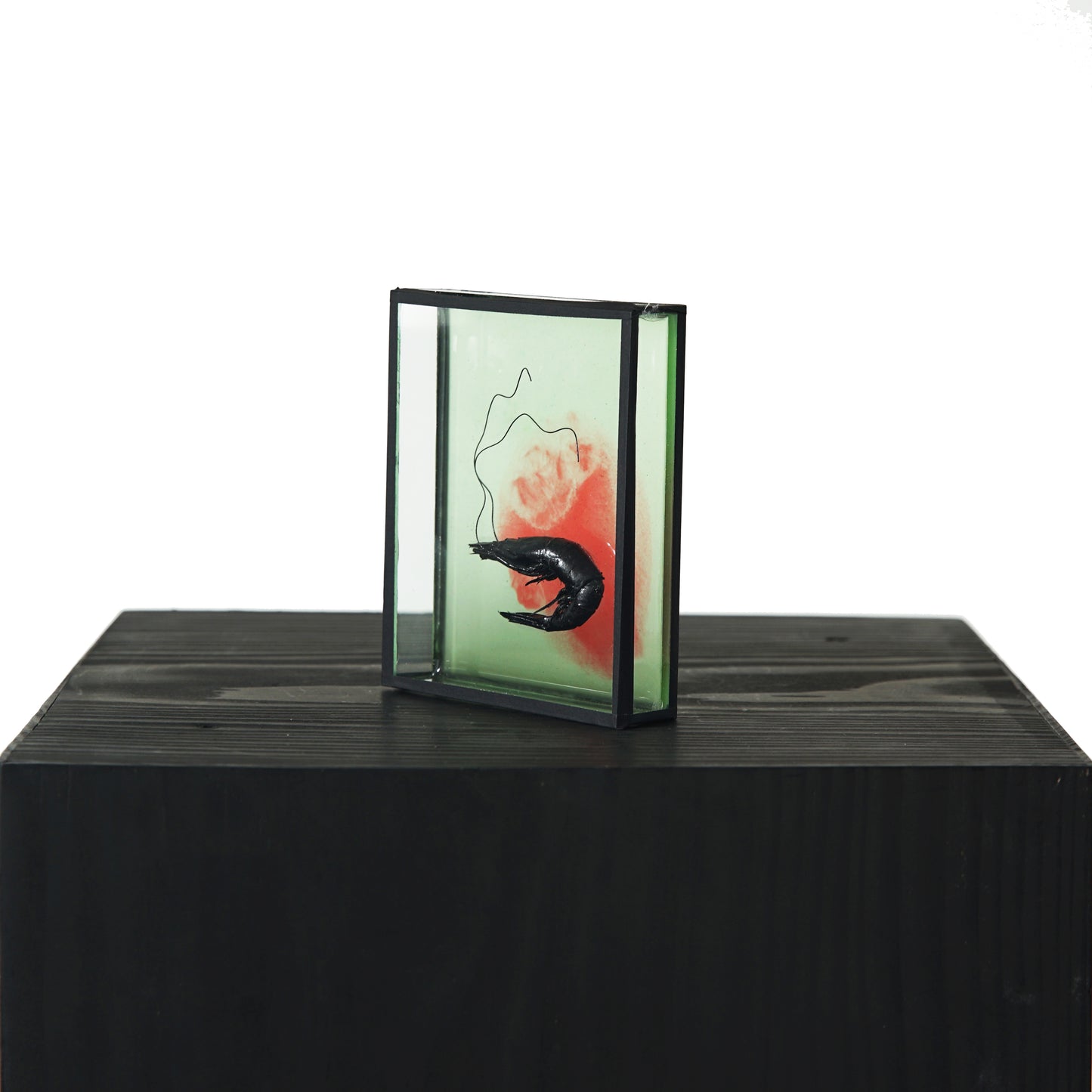 Harriet Horton, Pink and Green Micro Prawn