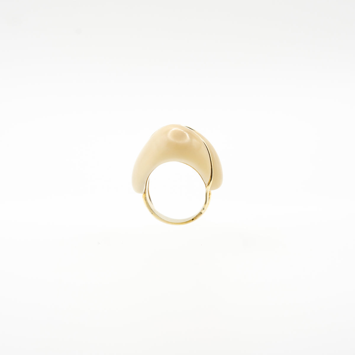 Helena Palmeira, Jarina Ring
