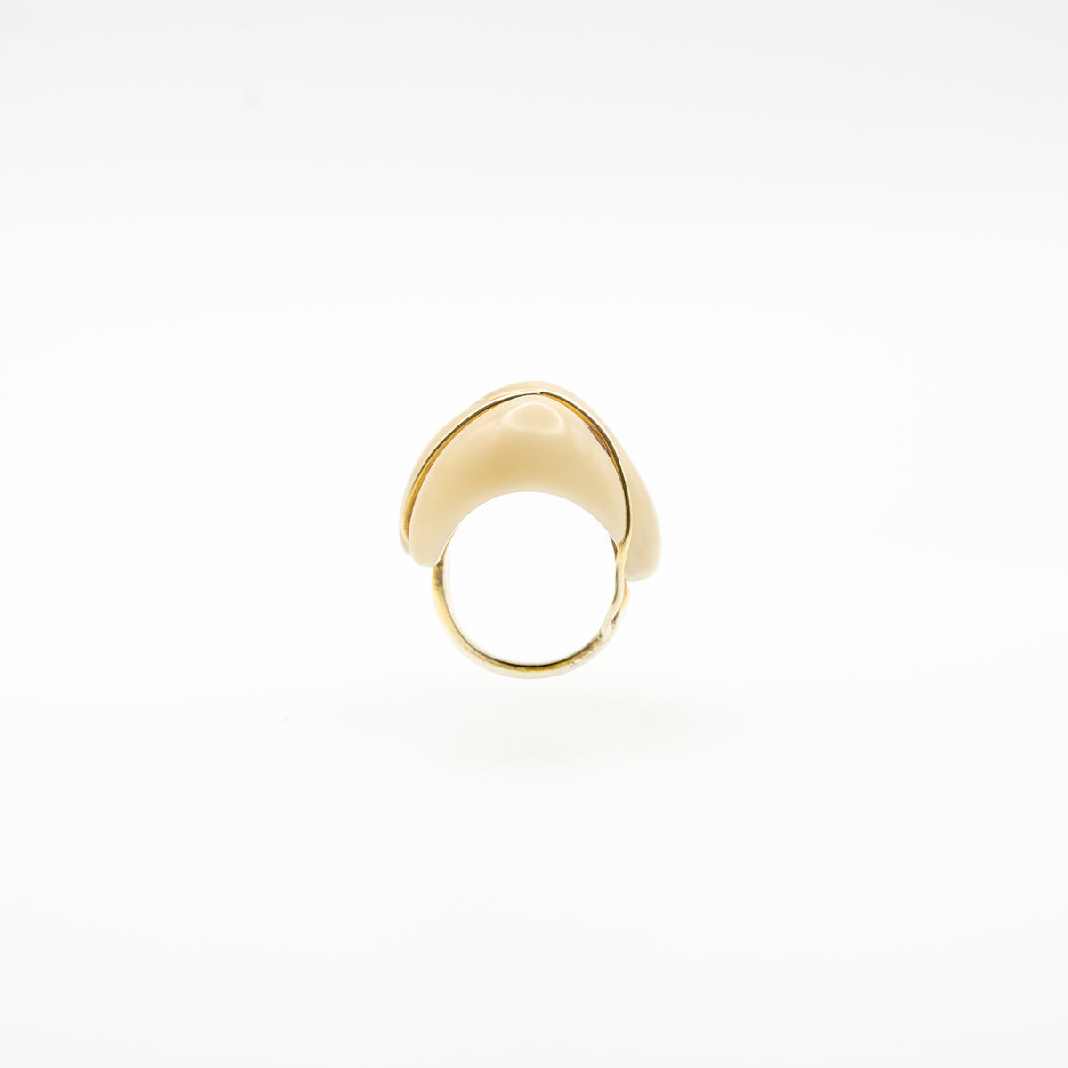 Helena Palmeira, Jarina Ring