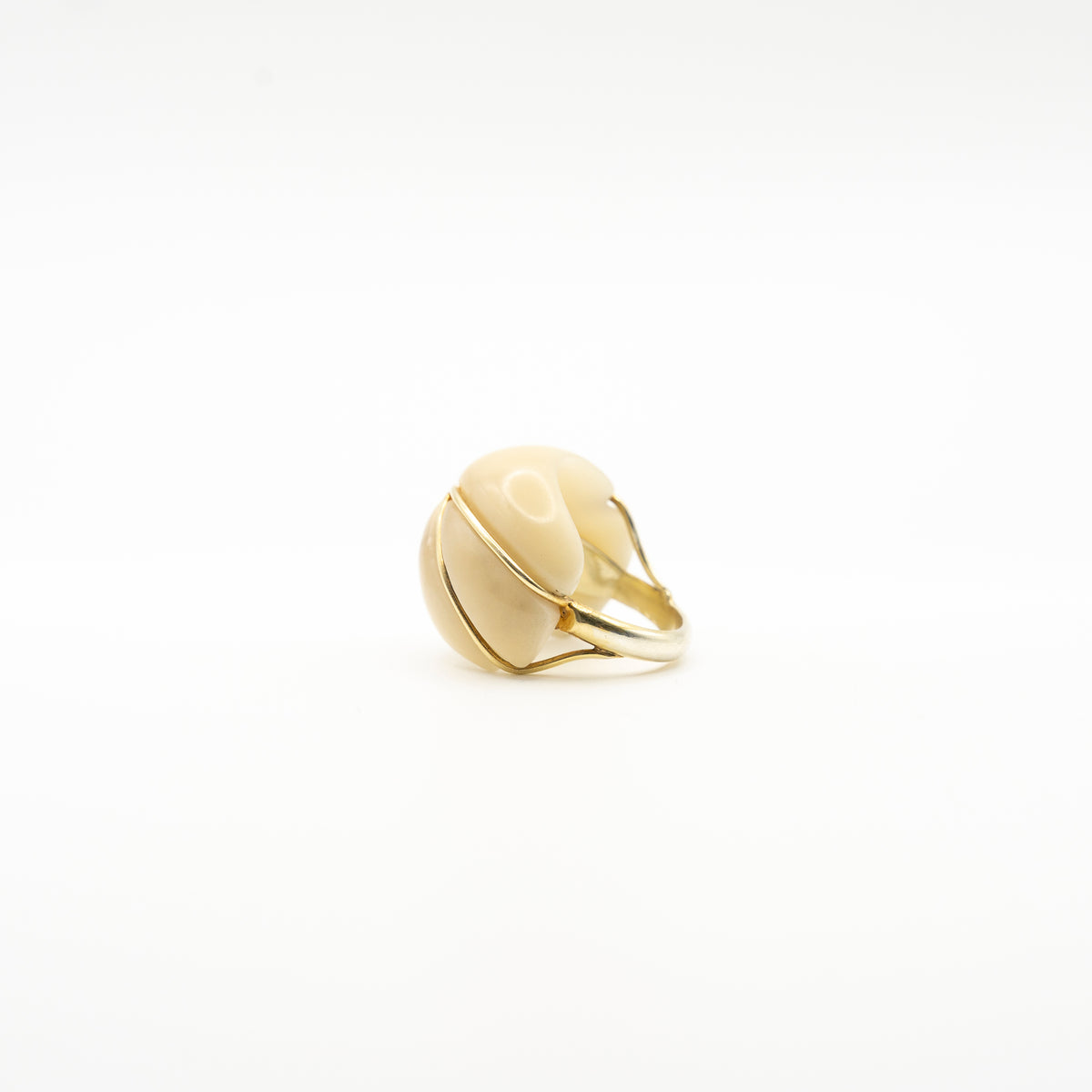 Helena Palmeira, Jarina Ring