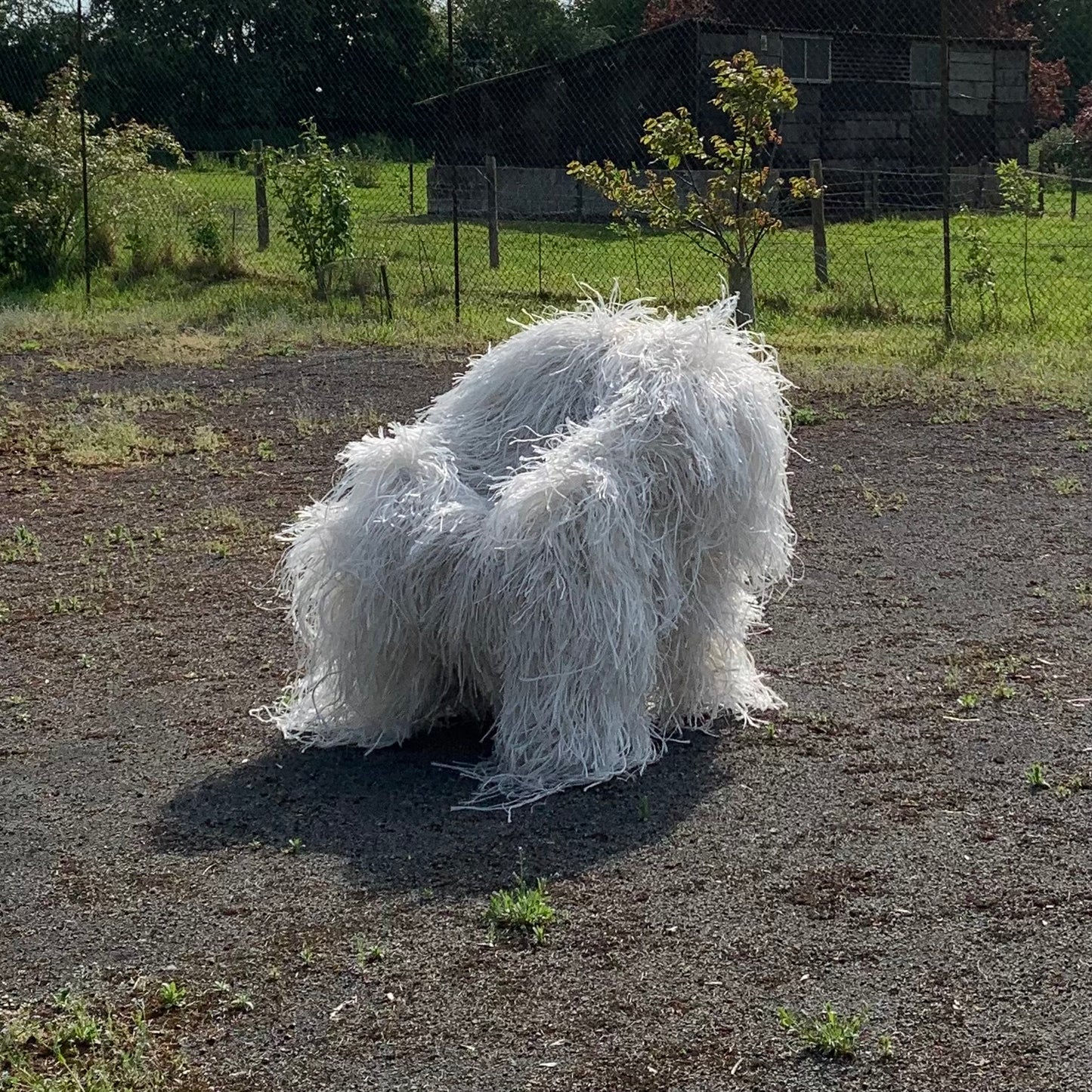 Darcey Fleming, Untitled
