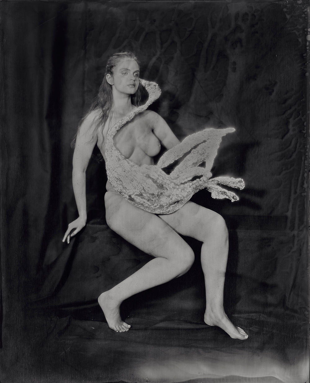 Kasia Wozniak, Cygnus (POS ONLY, NOT LIVE ON WEBSITE)